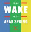 Amazigh Politics in the Wake of the Arab Spring