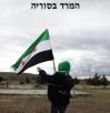 FuadAjami-Syria-cover(WEB)_0