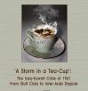 Storm-TeaCup-book-b